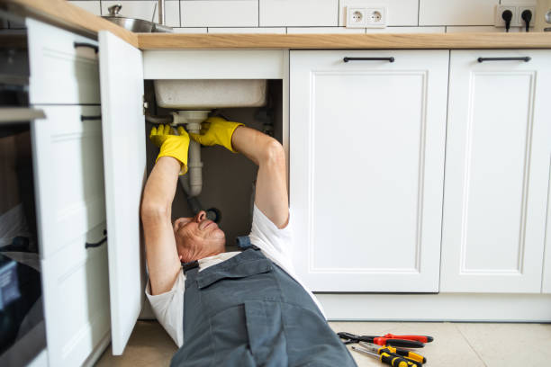 Best Septic Systems  in Coon Rapids, MN