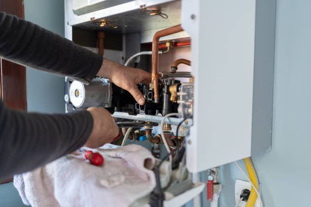 Best Plumbing Inspection Services  in Coon Rapids, MN